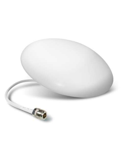 Stella Doradus FLATCEALING...