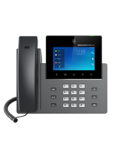 Grandstream GXV3450 -...