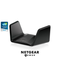 Netgear RAXE300-100EUS -...