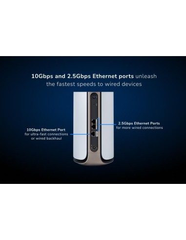 Netgear RBE970-100EUS - Satélite...