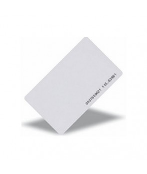 Zkteco CARDEM4100-G-I-Y 125 kHz Proximity Card (Y (Printed number)